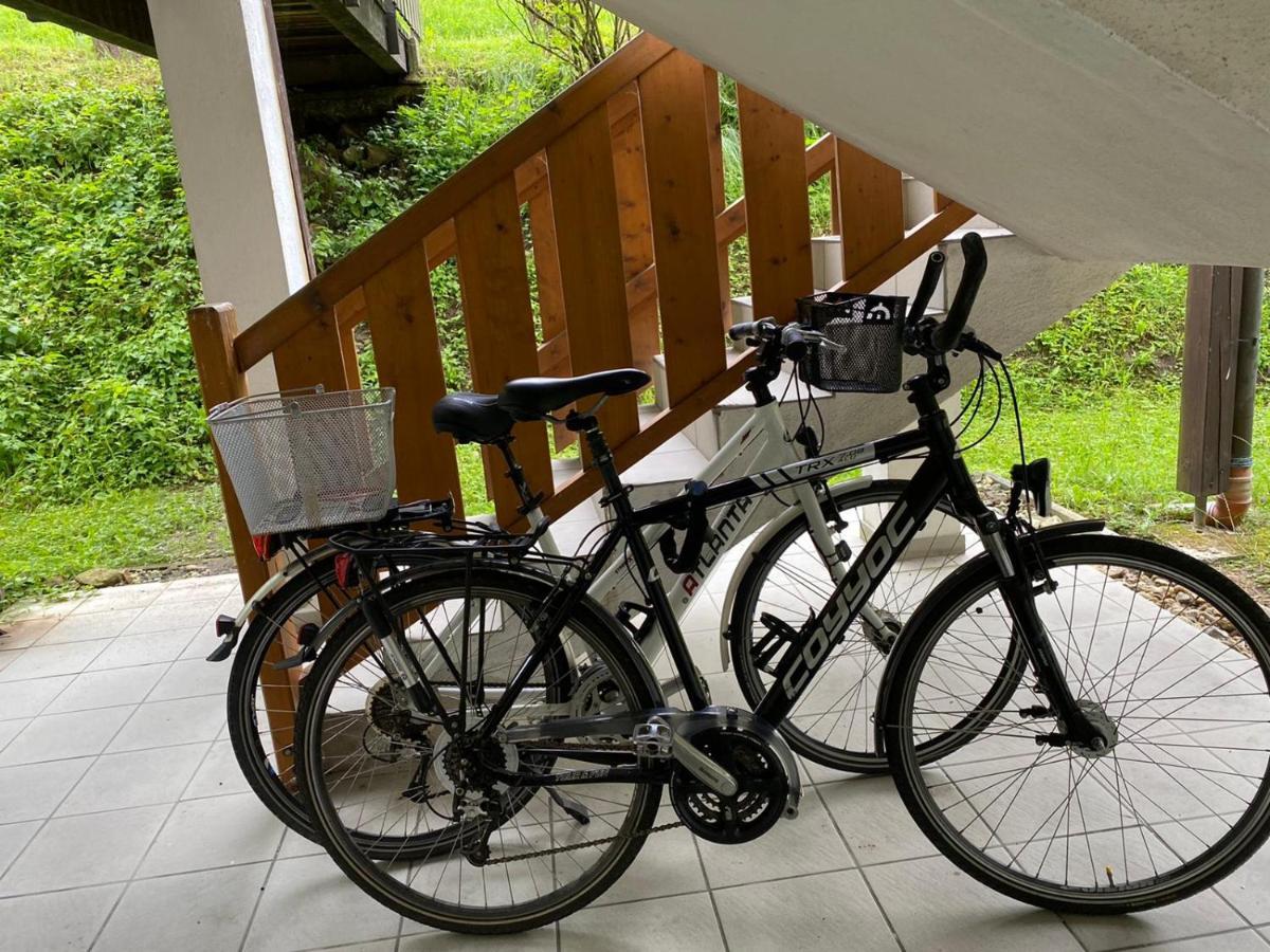 Geschmackvolles Appartement Am Donauradweg Obernzell Екстер'єр фото